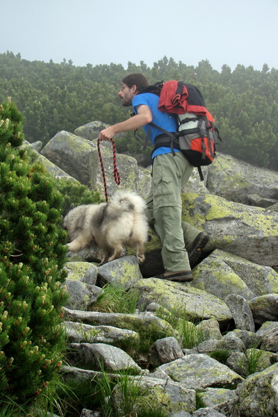 Slavkovský šít so psom (Vysoké Tatry)