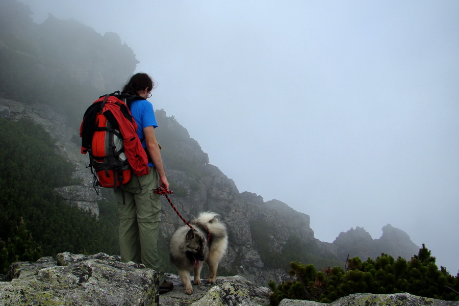 Slavkovský šít so psom (Vysoké Tatry)