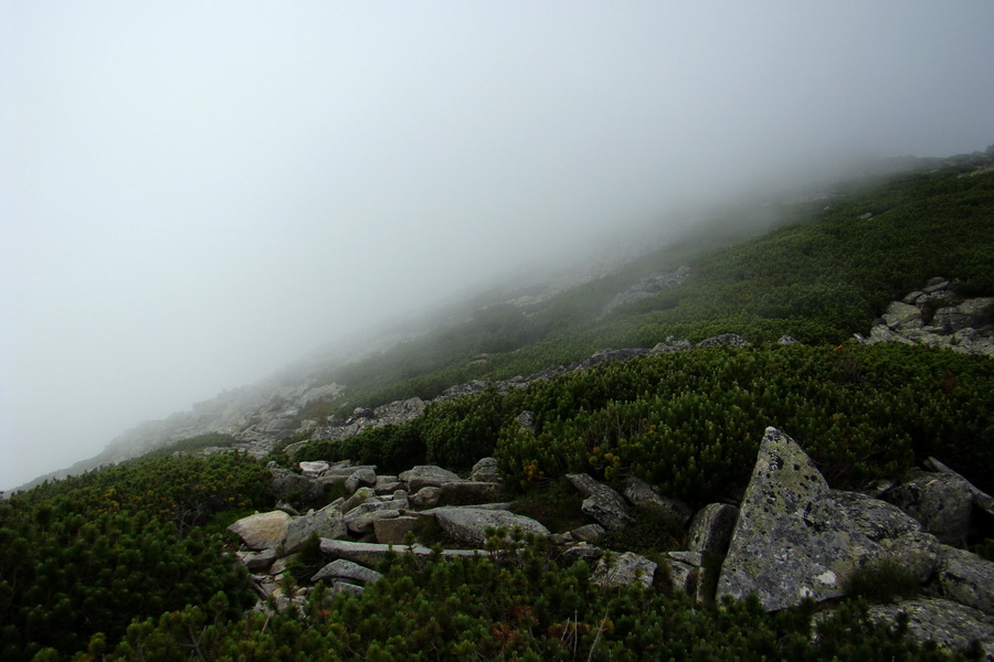 Slavkovský šít so psom (Vysoké Tatry)