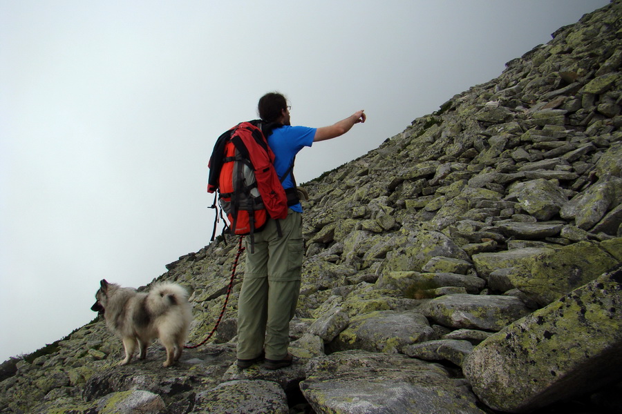 Slavkovský šít so psom (Vysoké Tatry)