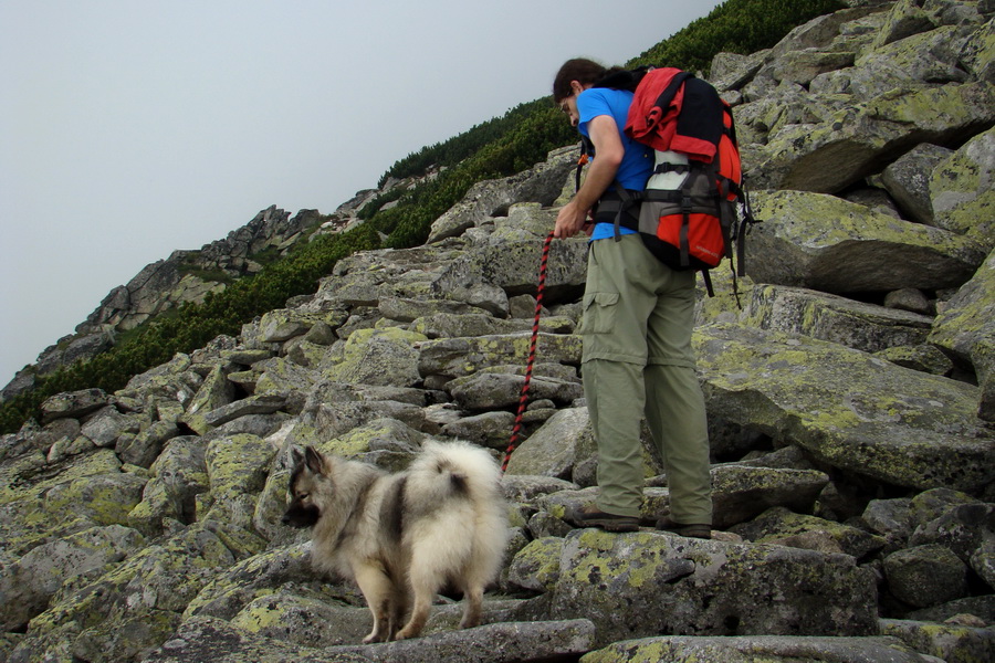 Slavkovský šít so psom (Vysoké Tatry)