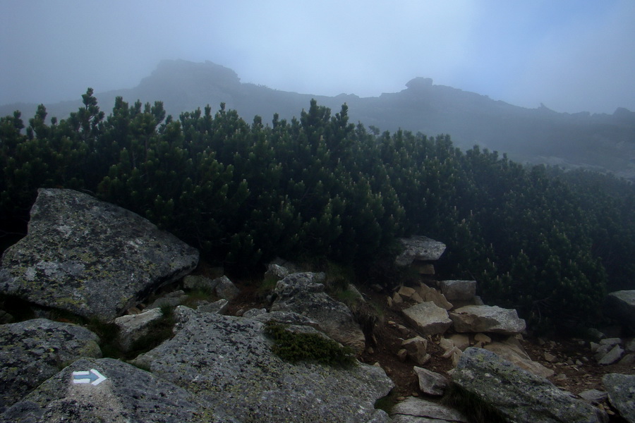 Slavkovský šít so psom (Vysoké Tatry)