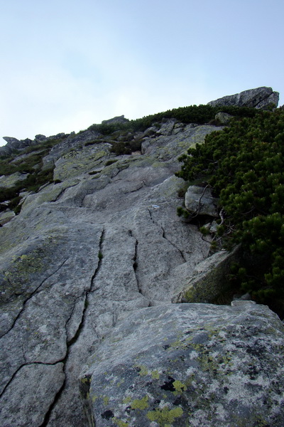 Slavkovský šít so psom (Vysoké Tatry)