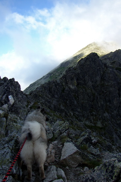 Slavkovský šít so psom (Vysoké Tatry)