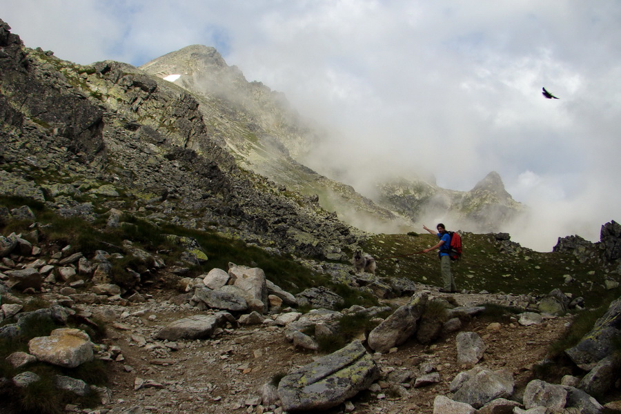 Slavkovský šít so psom (Vysoké Tatry)