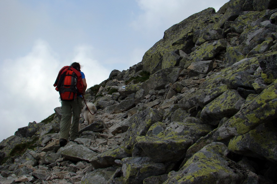 Slavkovský šít so psom (Vysoké Tatry)