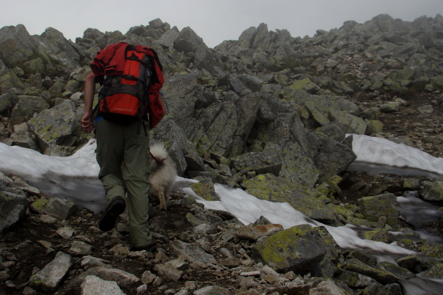 Slavkovský šít so psom (Vysoké Tatry)