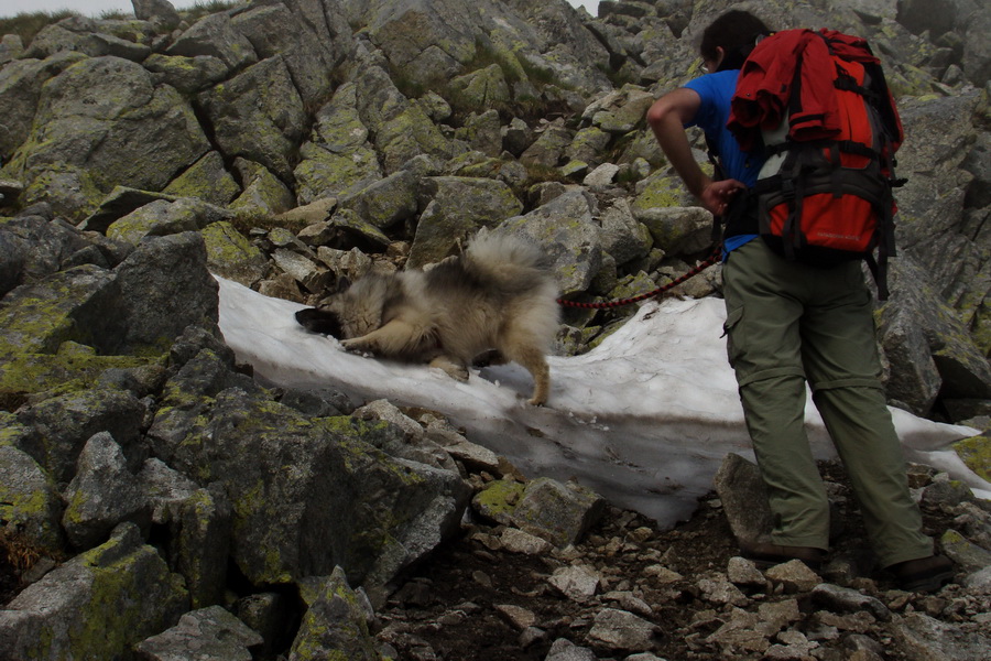 Slavkovský šít so psom (Vysoké Tatry)