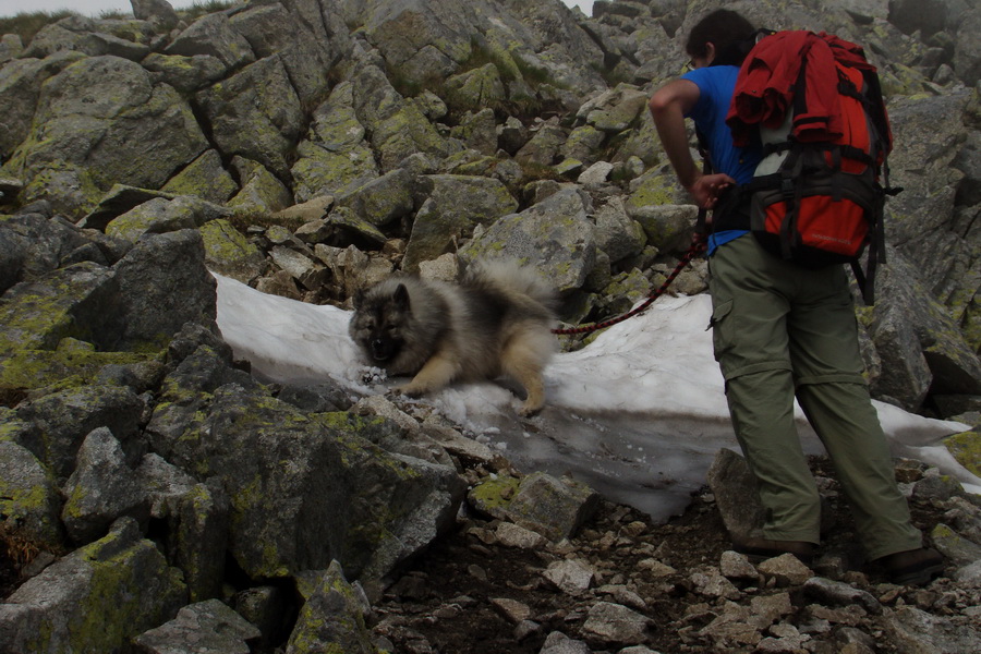 Slavkovský šít so psom (Vysoké Tatry)