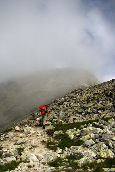 Slavkovský šít so psom (Vysoké Tatry)