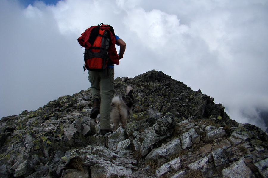 Slavkovský šít so psom (Vysoké Tatry)