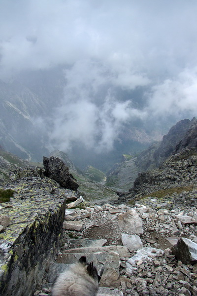 Slavkovský šít so psom (Vysoké Tatry)