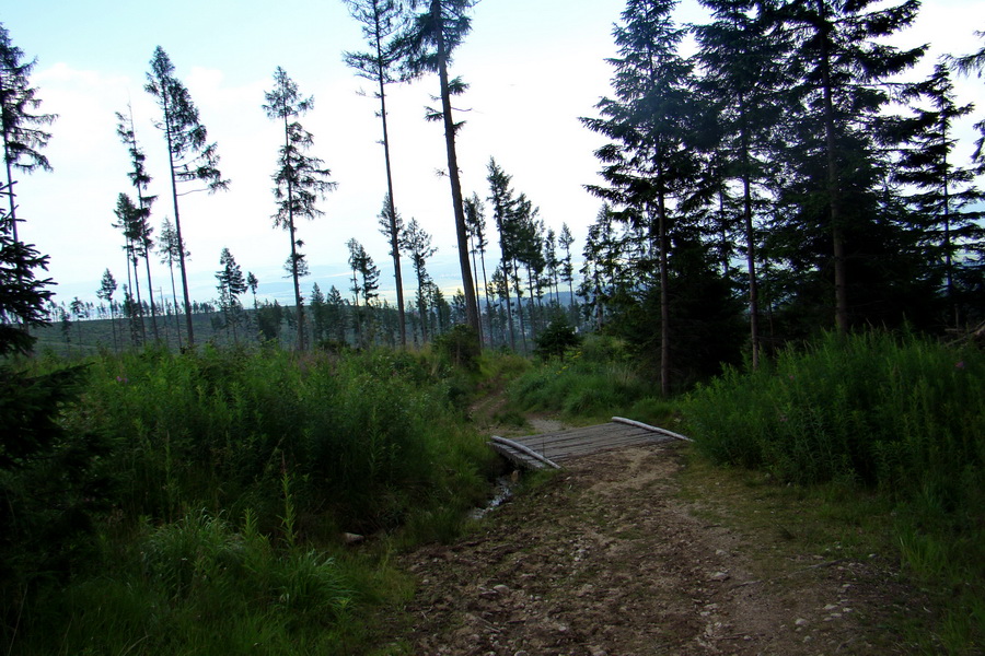 Slavkovský šít so psom (Vysoké Tatry)