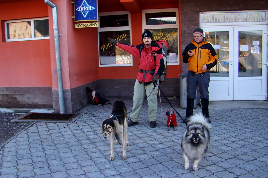 Zimný výstup na Kráľovu hoľu z Telgárta (Nízke Tatry)