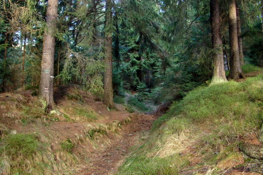 Zimný výstup na Kráľovu hoľu z Telgárta (Nízke Tatry)