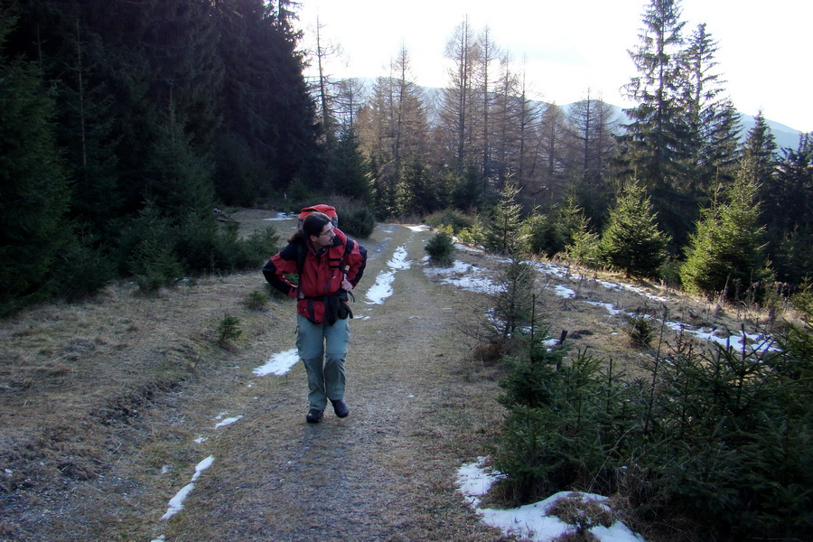 Zimný výstup na Kráľovu hoľu z Telgárta (Nízke Tatry)