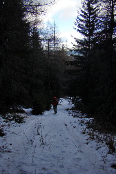 Zimný výstup na Kráľovu hoľu z Telgárta (Nízke Tatry)