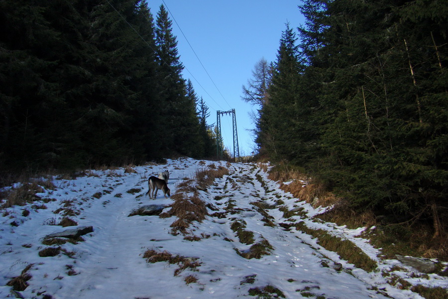 Zimný výstup na Kráľovu hoľu z Telgárta (Nízke Tatry)