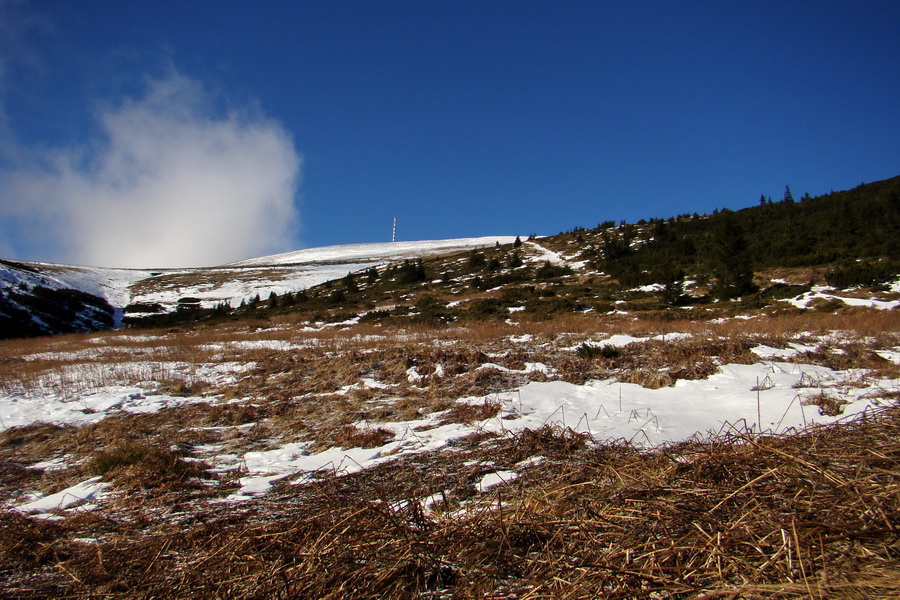 Zimný výstup na Kráľovu hoľu z Telgárta (Nízke Tatry)