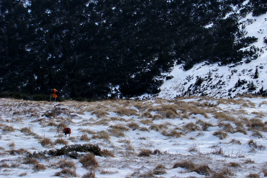 Zimný výstup na Kráľovu hoľu z Telgárta (Nízke Tatry)