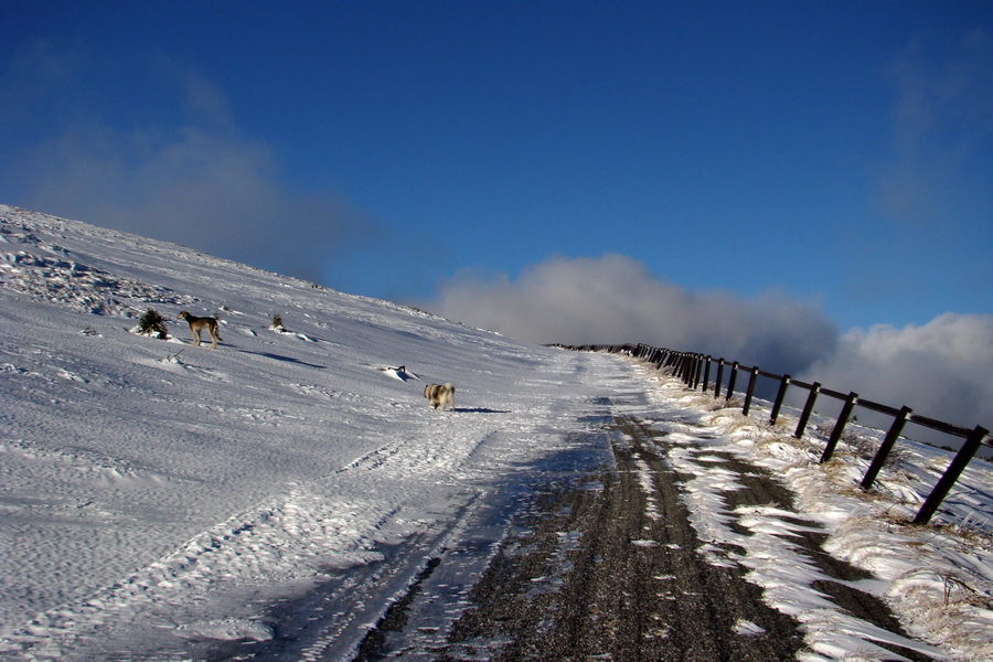 Zimný výstup na Kráľovu hoľu z Telgárta (Nízke Tatry)