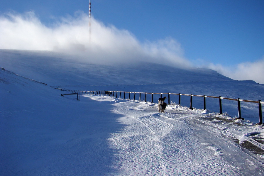 Zimný výstup na Kráľovu hoľu z Telgárta (Nízke Tatry)