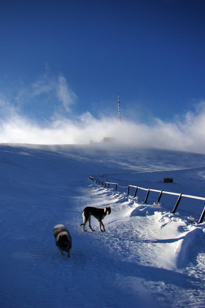 Zimný výstup na Kráľovu hoľu z Telgárta (Nízke Tatry)