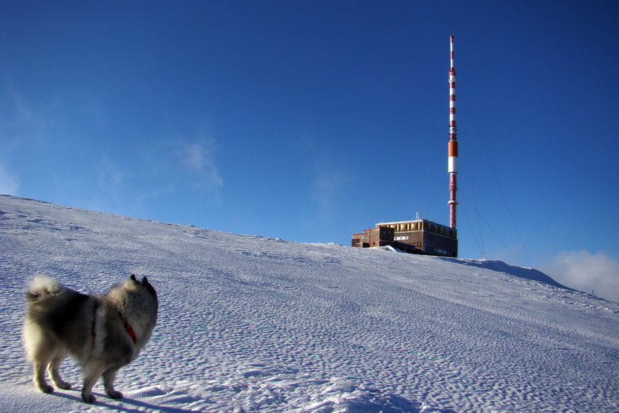 Zimný výstup na Kráľovu hoľu z Telgárta (Nízke Tatry)