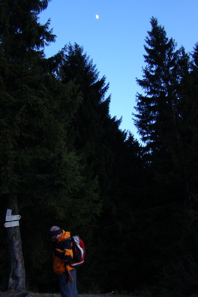 Zimný výstup na Kráľovu hoľu z Telgárta (Nízke Tatry)