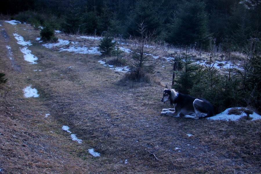 Zimný výstup na Kráľovu hoľu z Telgárta (Nízke Tatry)