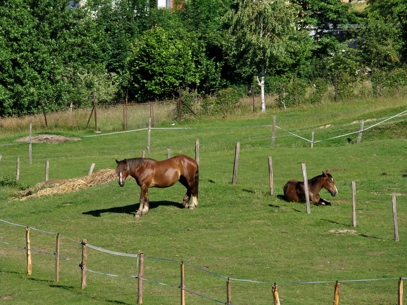 Zlatý stôl zo Starej vody (Volovské vrchy)