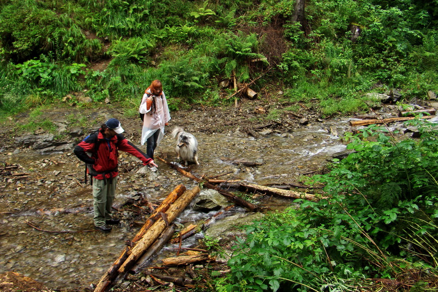 Baranec z Pribyliny (Západné Tatry)