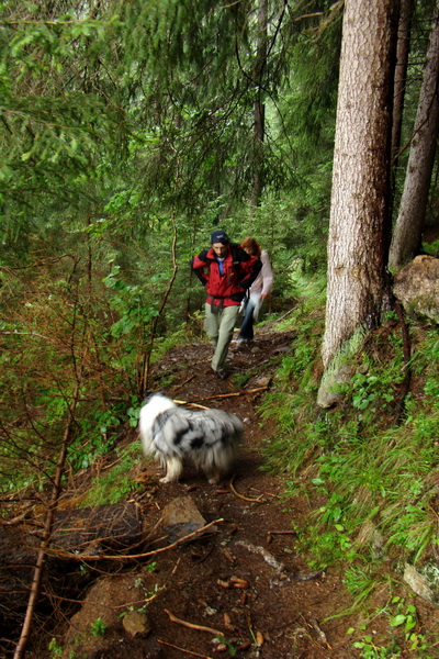 Baranec z Pribyliny (Západné Tatry)