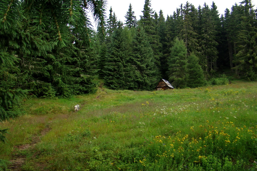 Baranec z Pribyliny (Západné Tatry)