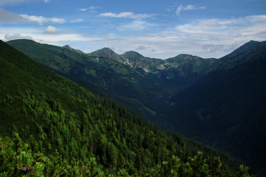 Baranec z Pribyliny (Západné Tatry)