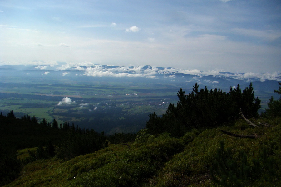 Baranec z Pribyliny (Západné Tatry)