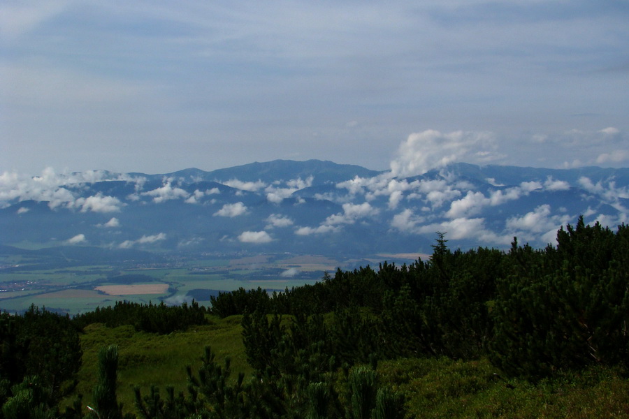 Baranec z Pribyliny (Západné Tatry)