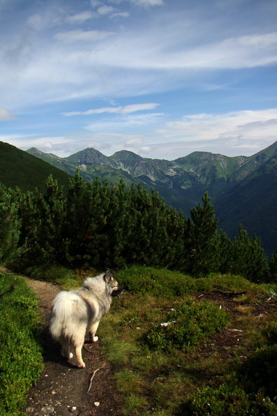 Baranec z Pribyliny (Západné Tatry)