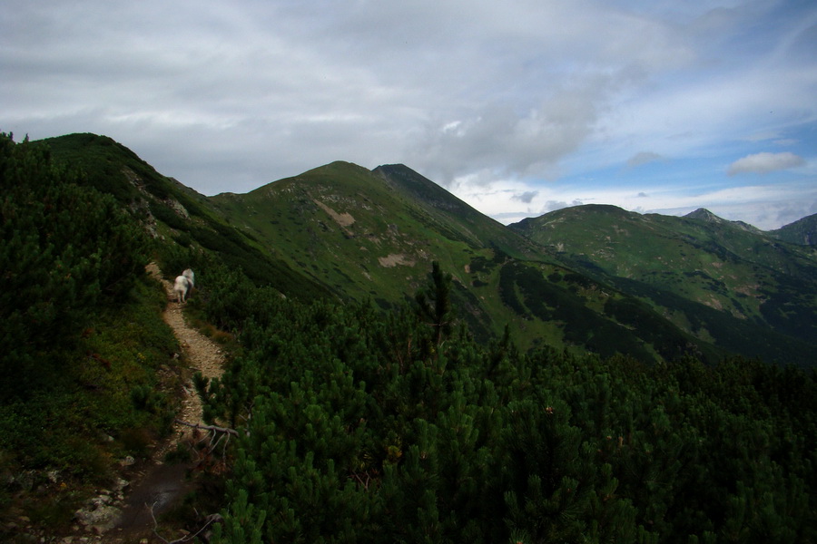 Baranec z Pribyliny (Západné Tatry)