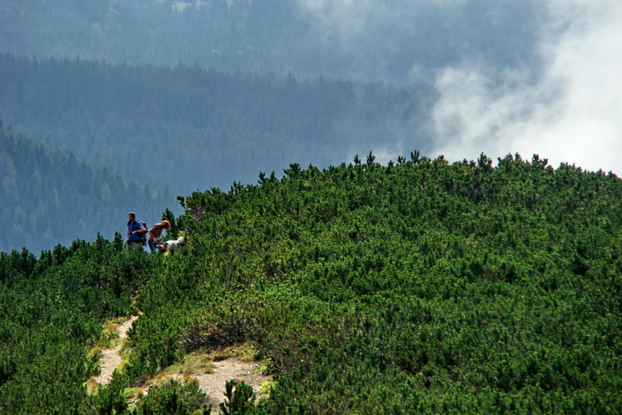 Baranec z Pribyliny (Západné Tatry)