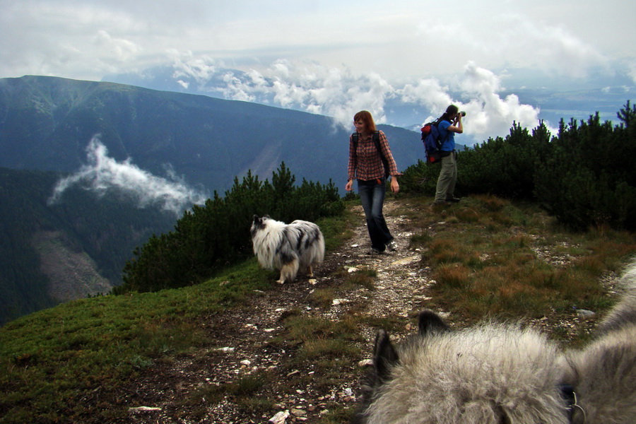 Baranec z Pribyliny (Západné Tatry)