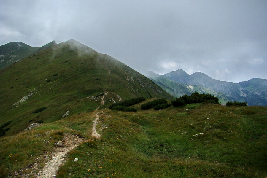 Baranec z Pribyliny (Západné Tatry)