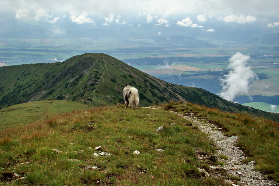 Baranec z Pribyliny (Západné Tatry)