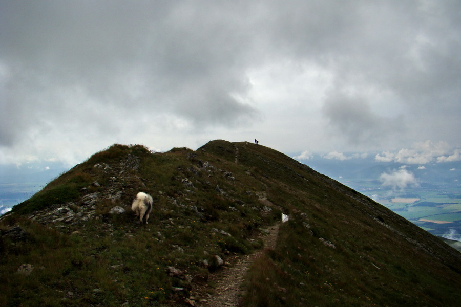 Baranec z Pribyliny (Západné Tatry)