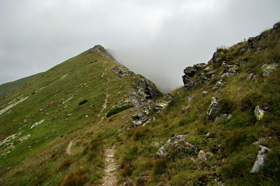 Baranec z Pribyliny (Západné Tatry)