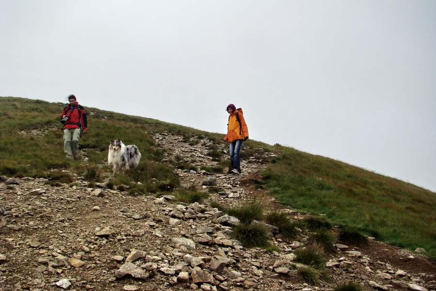 Baranec z Pribyliny (Západné Tatry)