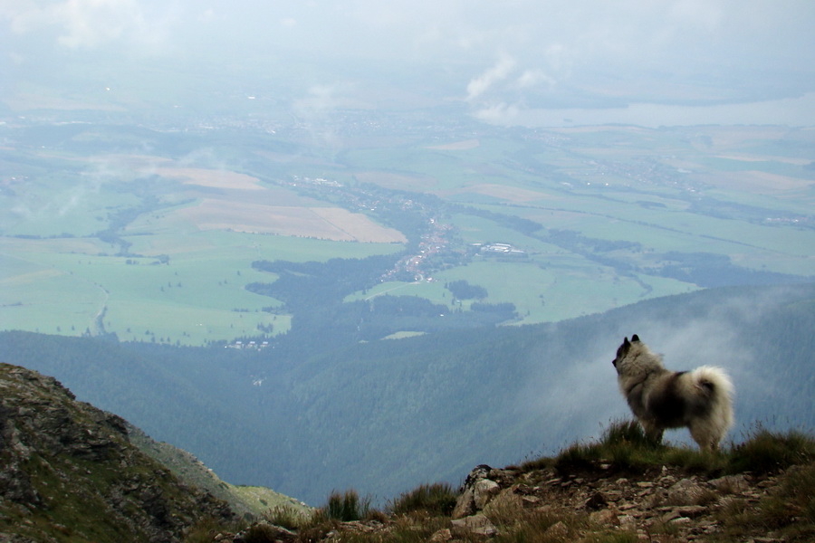 Baranec z Pribyliny (Západné Tatry)