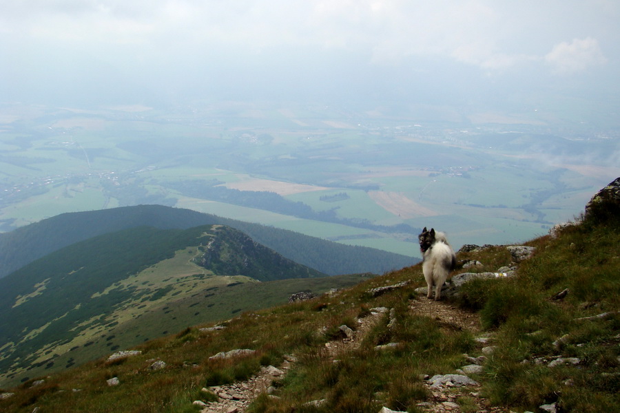 Baranec z Pribyliny (Západné Tatry)