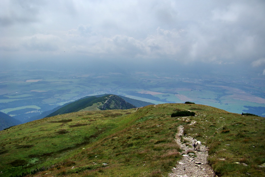 Baranec z Pribyliny (Západné Tatry)