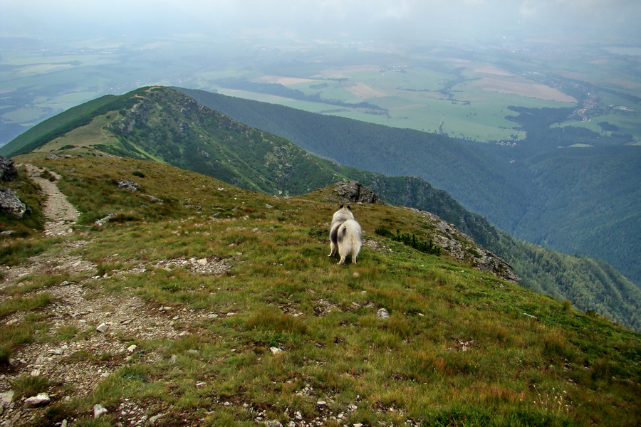 Baranec z Pribyliny (Západné Tatry)